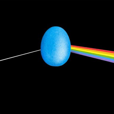 pinkfloyd, vollegg, blu egg, pop culture, art