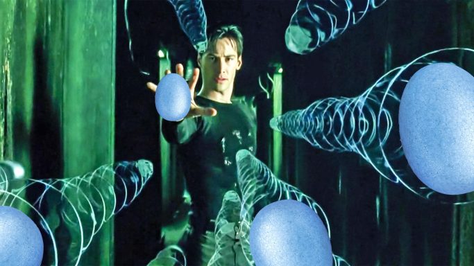 Matrixxer le Vollegg Ya que NEO qui peux jouer avec plusieurs Vollegg